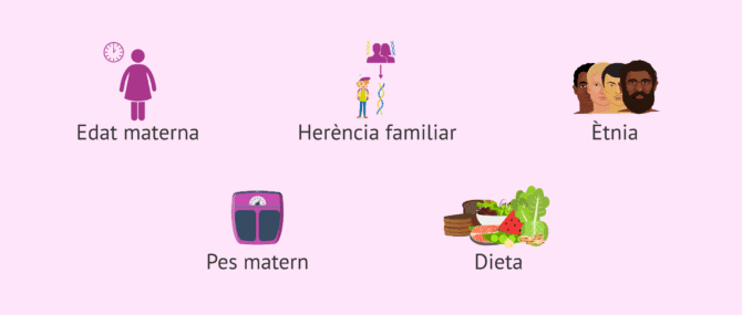 Imagen: Factors que influeixen en l'embaràs múltiple natural