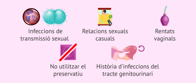 Imagen: Factors de risc per a la MIP