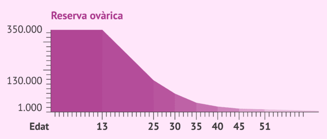 Imagen: Evolució de la reserva ovàrica amb l'edat