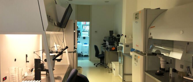 Imagen: Laboratori de FIV de Next Fertility Murcia