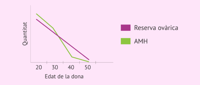 Imagen: AMH en menopausa