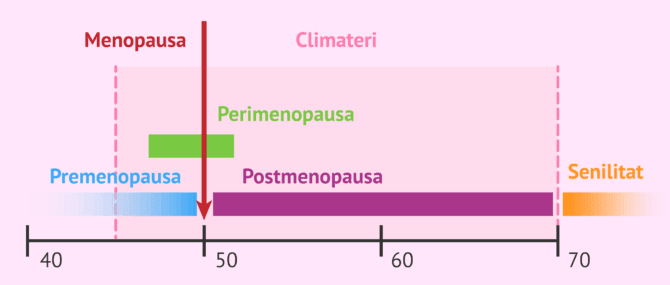 Imagen: Fases del climateri en la dona
