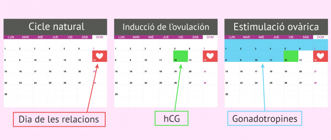 Imagen: Coit programat amb o sense medicaments