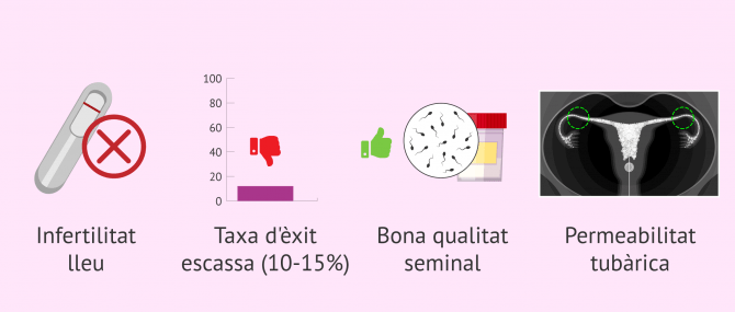 Imagen: Indicacions i desavantatges del coit programat
