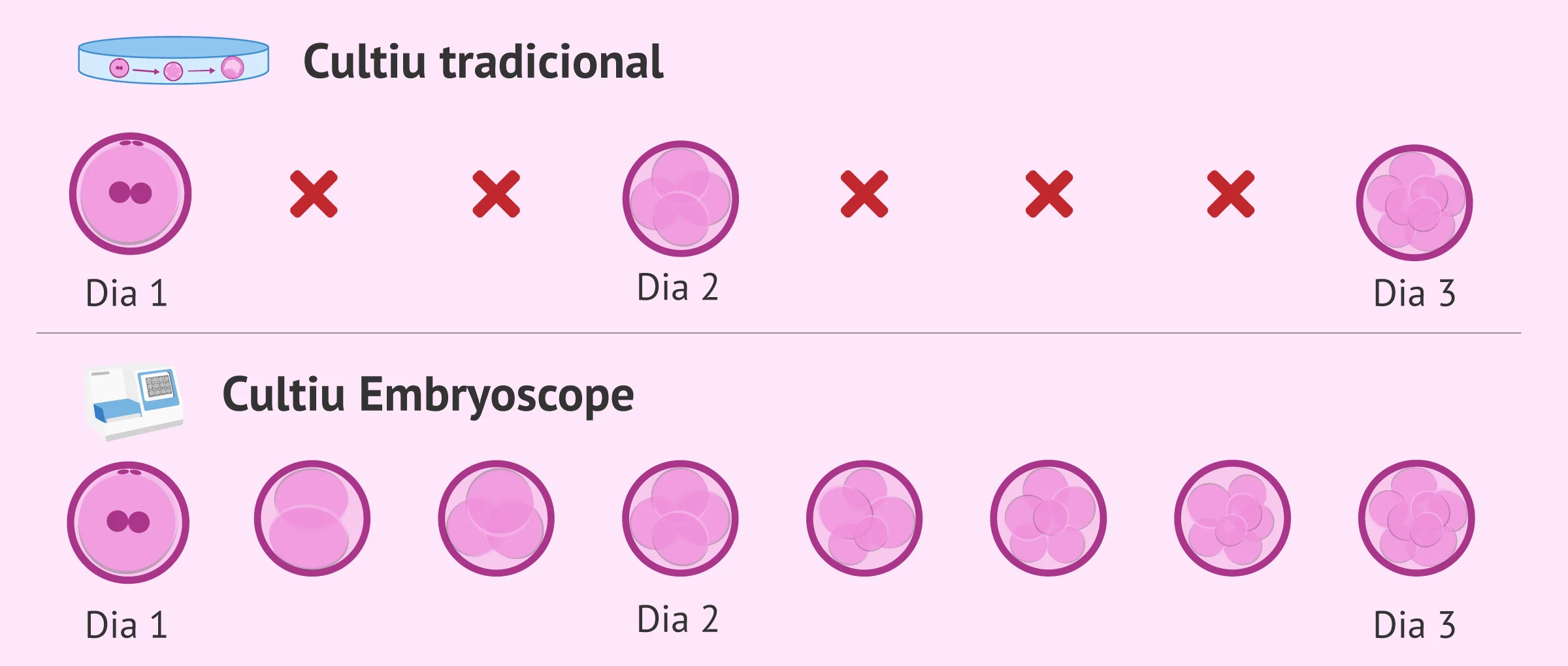 Imagen: Cultiu amb Embryoscope vs cultiu tradicional
