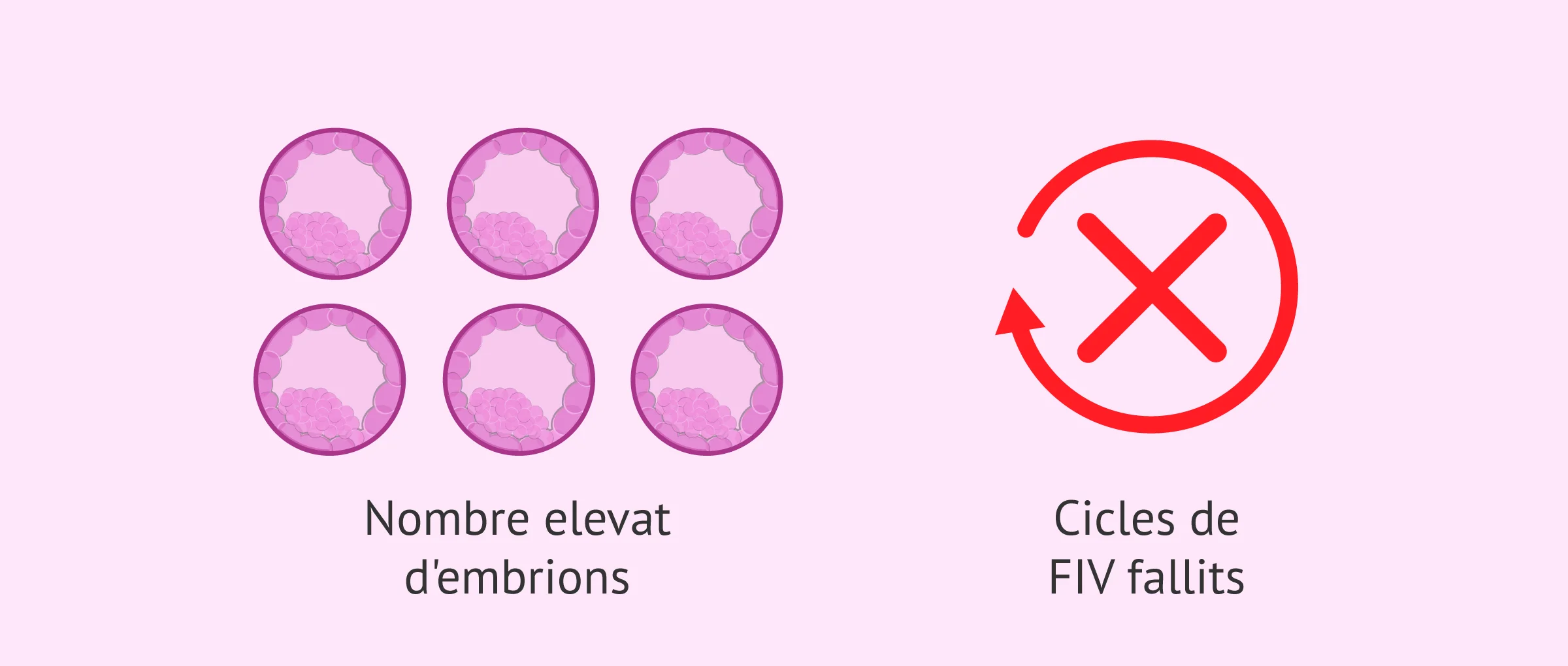 Imagen: Principals indicacions de l´Embryoscope