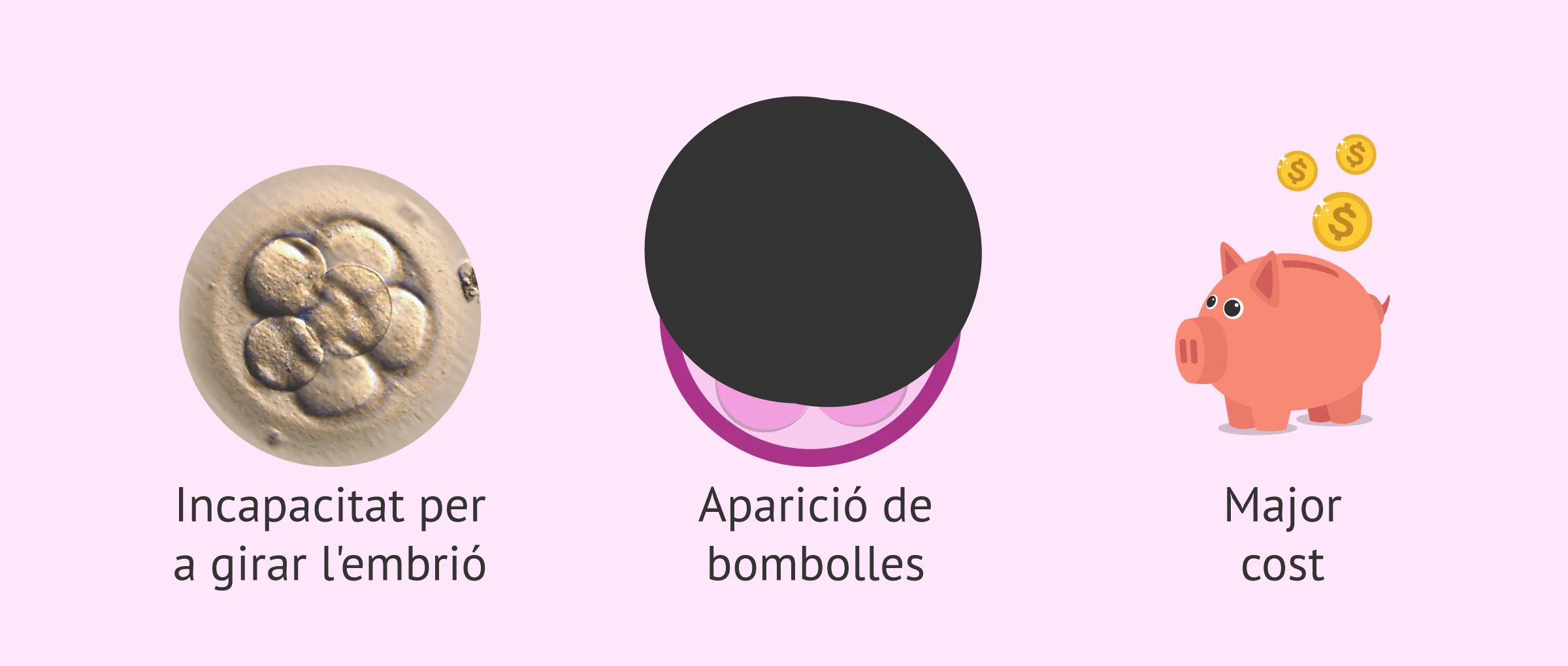 Imagen: Limitacions de l´Embryoscope