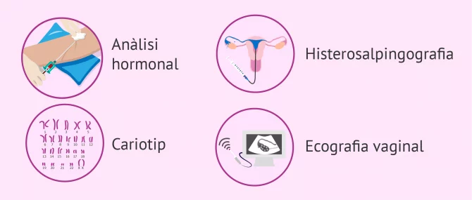 Imagen: Estudis de fertilitat femenina