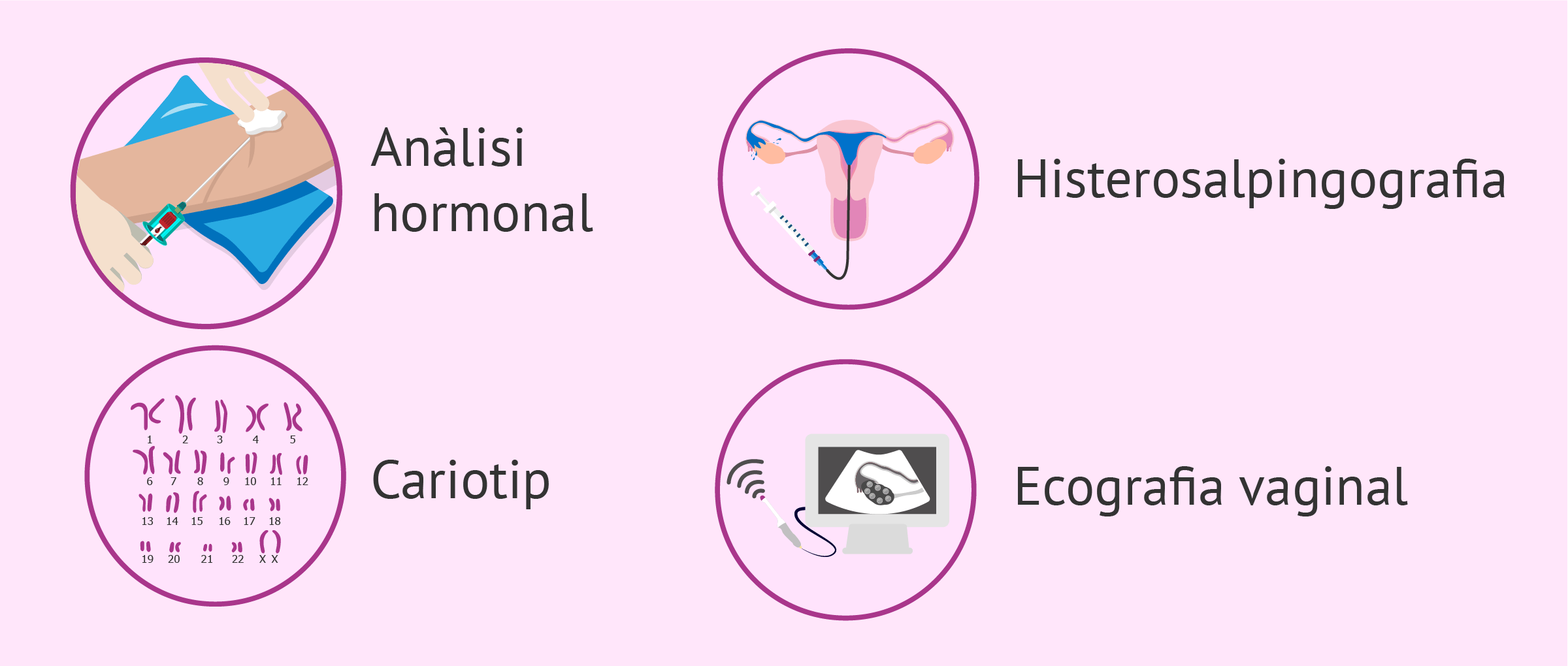 Estudis de fertilitat femenina