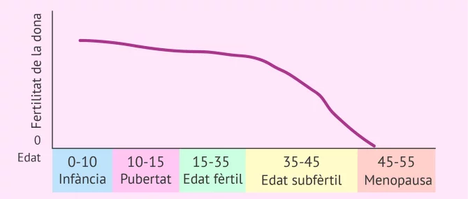 Imagen: Fertilitat-de la dona