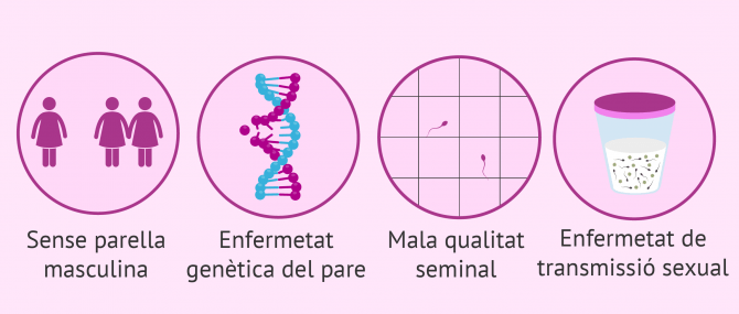 Imagen: Indicacions de la inseminació artificial amb esperma de donant
