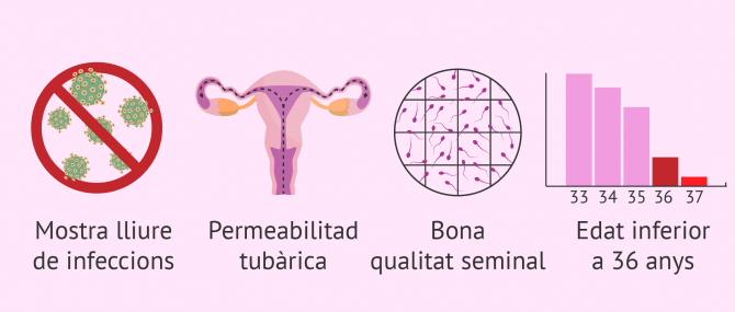 Imagen: Requisits per a la inseminació artificial
