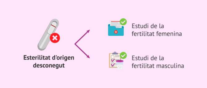 Imagen: Quan es considera esterilitat d'origen desconegut?
