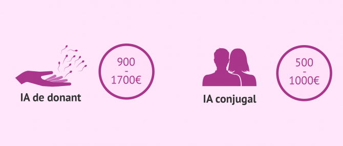 Imagen: Cost de la inseminació artificial a Espanya