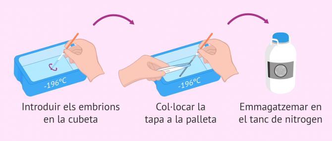 Imagen: Vitrificació dels embrions a -196 °C