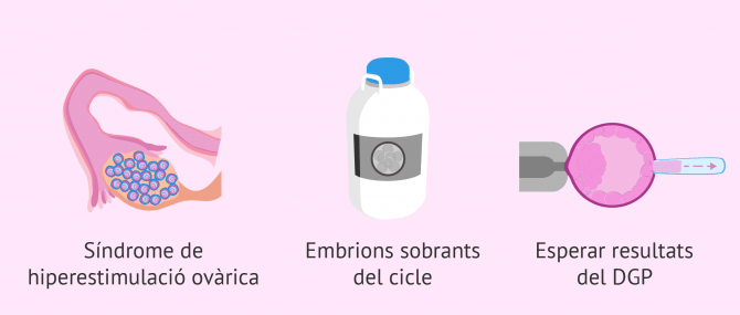 Imagen: Quan es vitrifiquen els embrions?