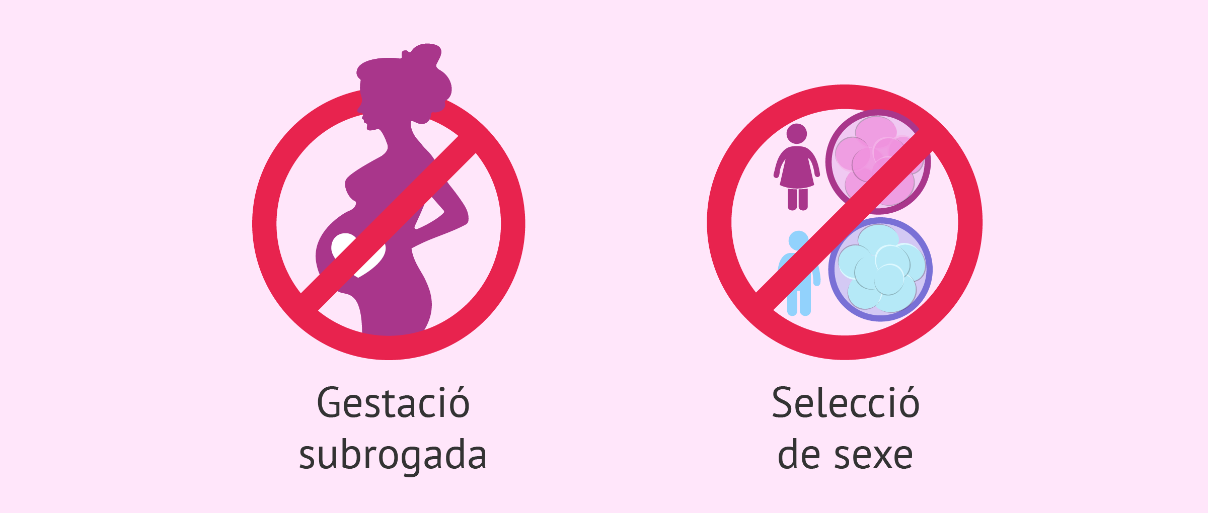 Tècniques de reproducció assistida prohibides a Espanya