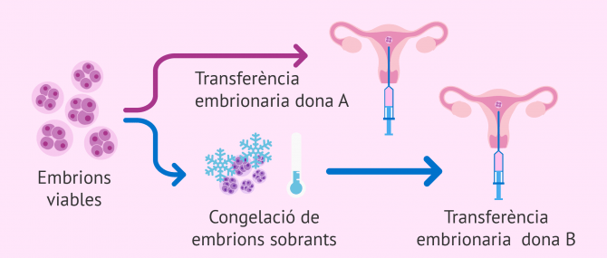 Imagen: Donar els embrions sobrants a altres parelles