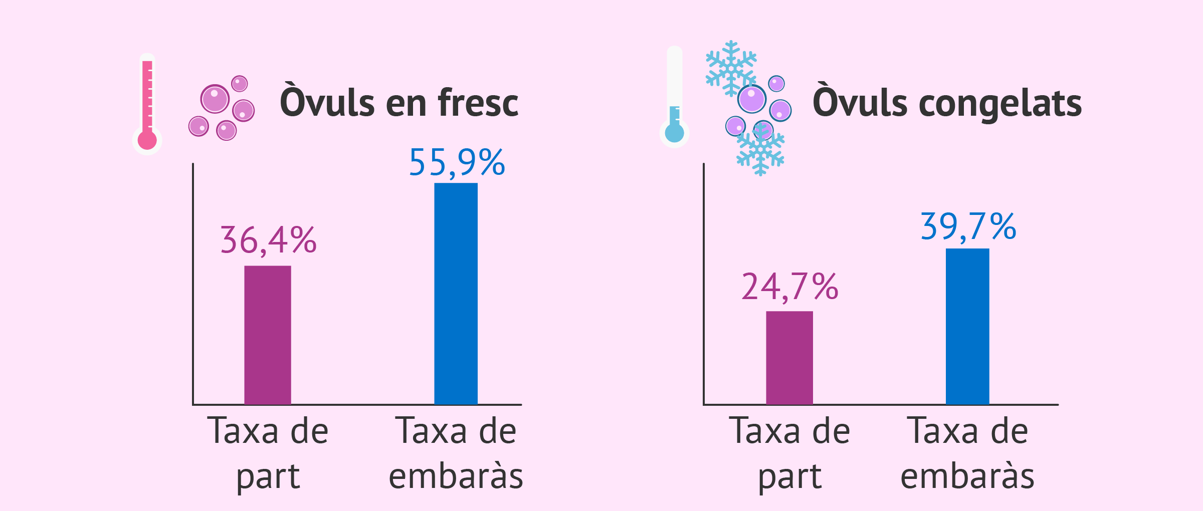 Estadístiques de donació en fresc i amb òvuls congelats