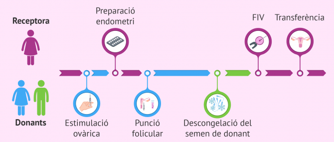 Imagen: FIV amb òvuls i semen de donants