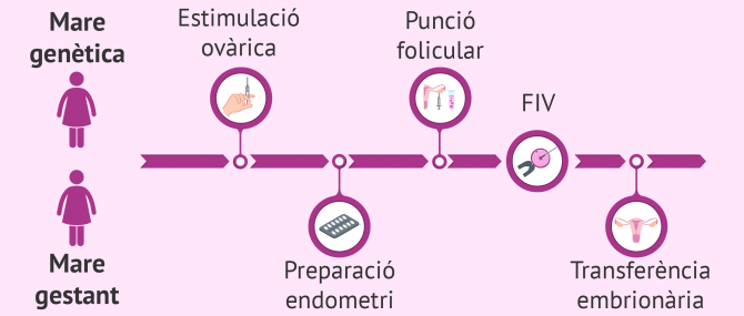 Imagen: Procés del mètode ROPA