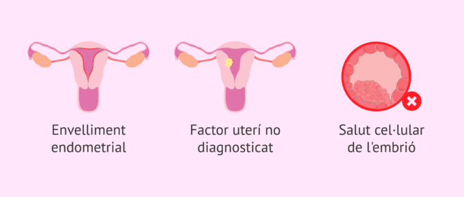 Imagen: Factors que influeixen en l'èxit de la FIV amb PGT