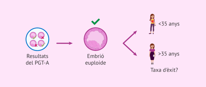 Imagen: L'edat afecta l'èxit de la transferència d'embrions euploides?