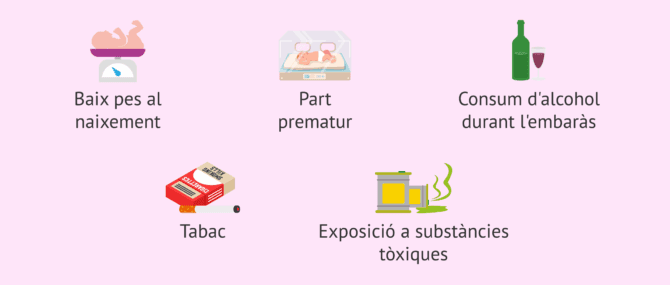 Imagen: Factors que incrementen el risc que els nadons pateixin criptorquídia
