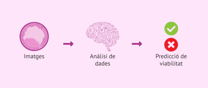 Imagen: Avenços de la intel·ligència artificial en reproducció assistida