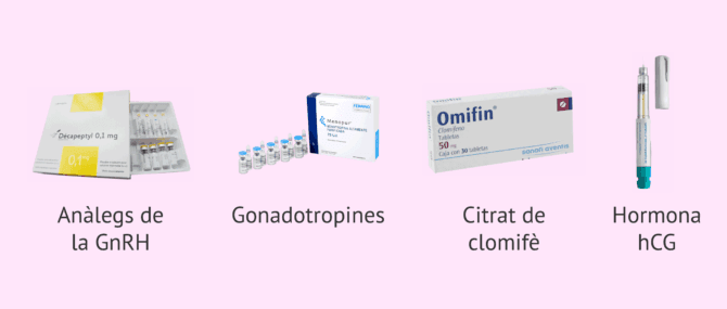 Imagen: Medicaments per a la inseminació artificial