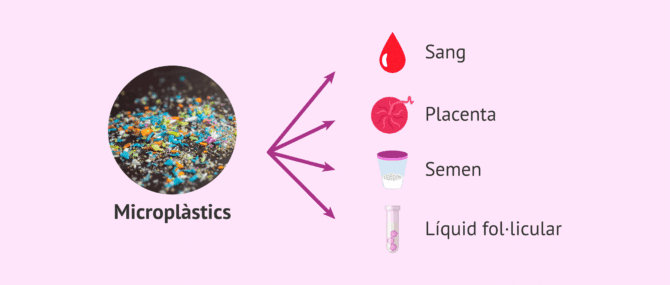 Imagen: Presència de microplàstics en l'organisme humà