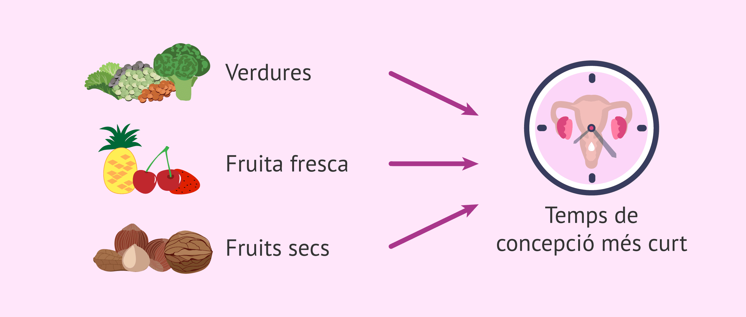 Nutrició i fertilitat: escurçar el temps per aconseguir l'embaràs
