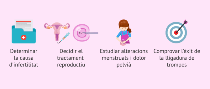 Imagen: En quines situacions es realitza la histerosalpingografia?