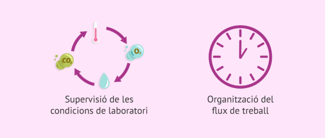 Imagen: Avenços amb intel·ligència artificial al laboratori de FIV