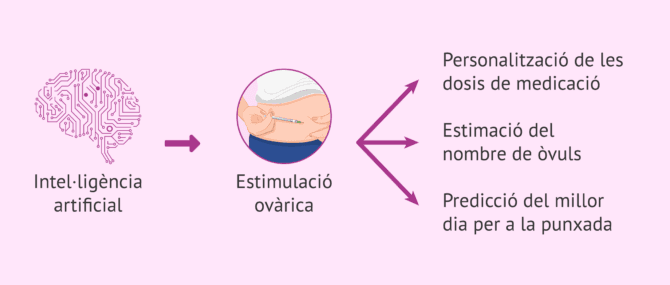 Imagen: Com pot millorar la intel·ligència artificial l'estimulació ovàrica?