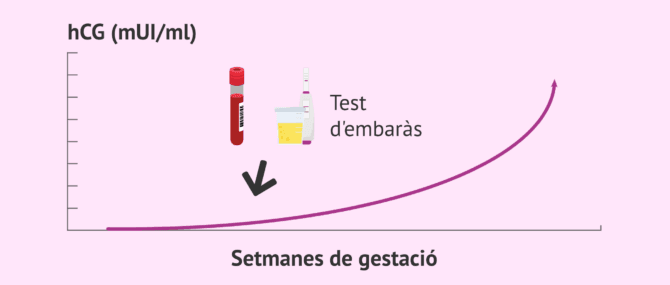 Imagen: Temps d'espera per realitzar un test d'embaràs
