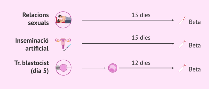 Imagen: Quan fer un test d'embaràs?