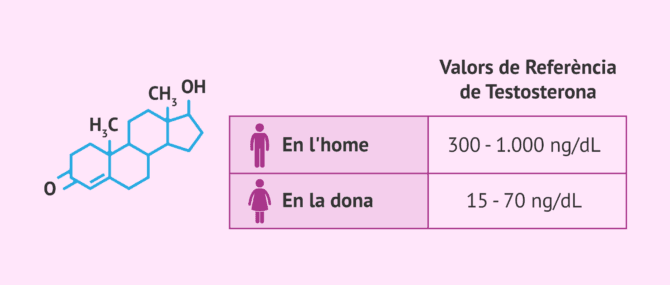 Imagen: Nivells normals de testosterona en sang