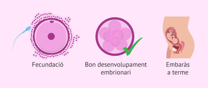 Imagen: En què pot influir l'abstinència sexual?
