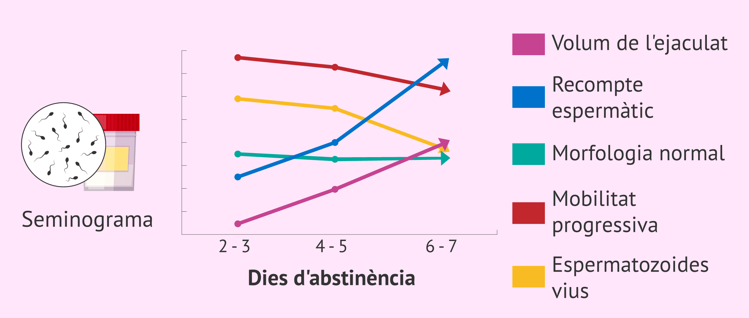 Com afecta l'abstinència sexual a la qualitat de l'esperma?