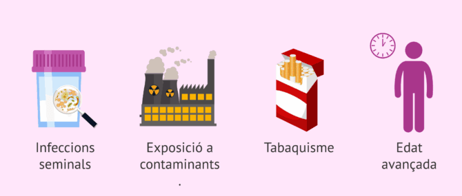 Imagen: Causes de la fragmentació de l'ADN dels espermatozoides