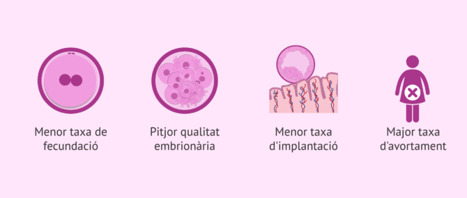 Imagen: Fragmentació de l'ADN espermàtic i fertilitat masculina