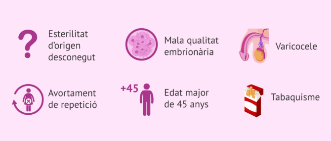 Imagen: Indicacions del test de fragmentació de l'ADN espermàtic