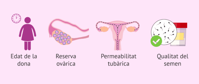 Imagen: Aspectes per a l'elecció del tractament reproductiu