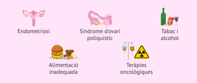 Imagen: Causes de la mala qualitat ovocitària