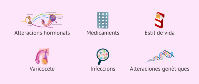 Imagen: Possibles causes d'oligoastenoteratozoospèrmia