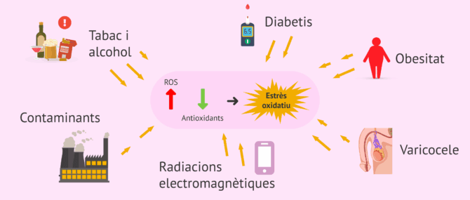 Imagen: Factors que porten a l'augment de ROS