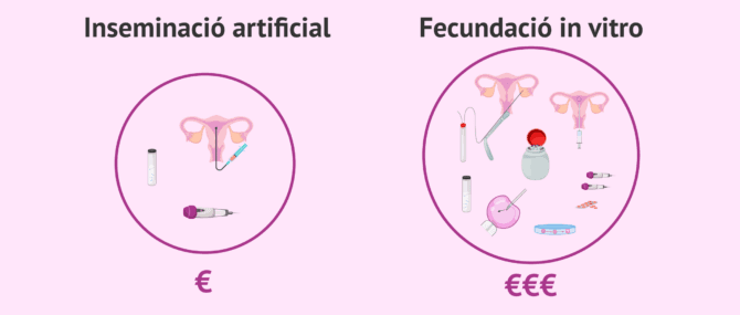 Imagen: Per què és més alt el preu de la FIV que el de la IA?