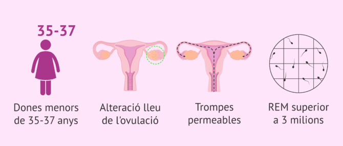 Imagen: Indicacions per a la IA