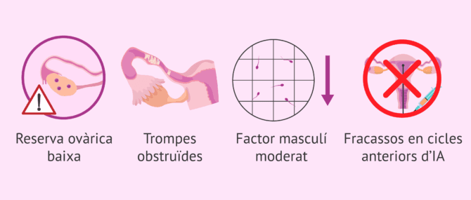 Imagen: Indicacions per a un tractament de FIV